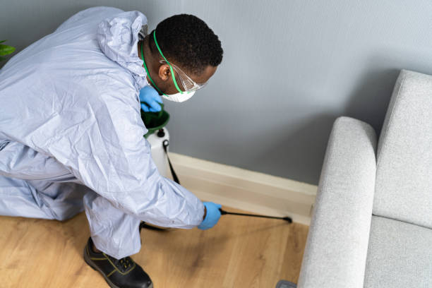 Best Real Estate Pest Inspections  in , AZ